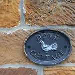 Dove
