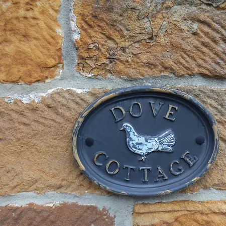 Dove