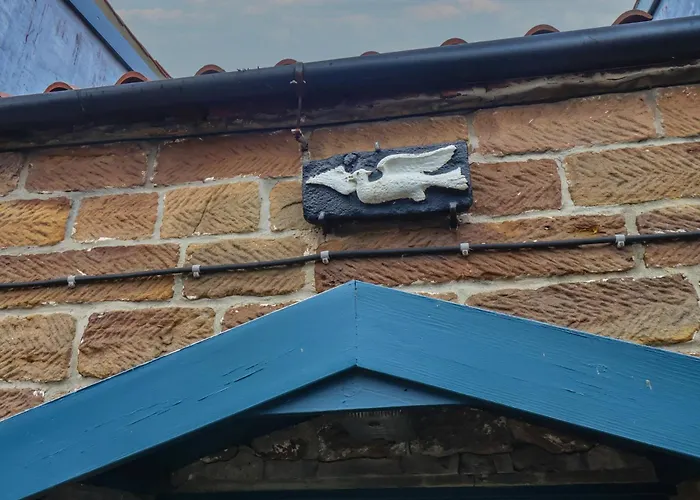 بيت للعطل Dove *