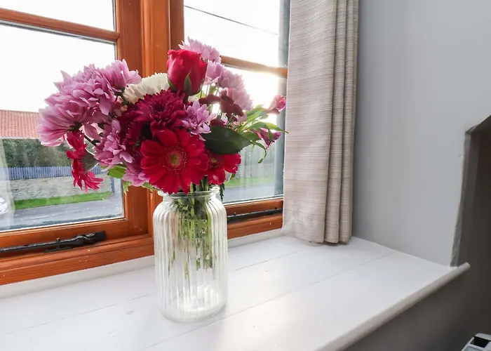 Dove بيت للعطل ويتبي